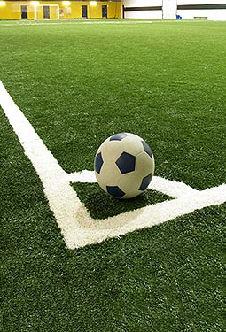 运动草坪